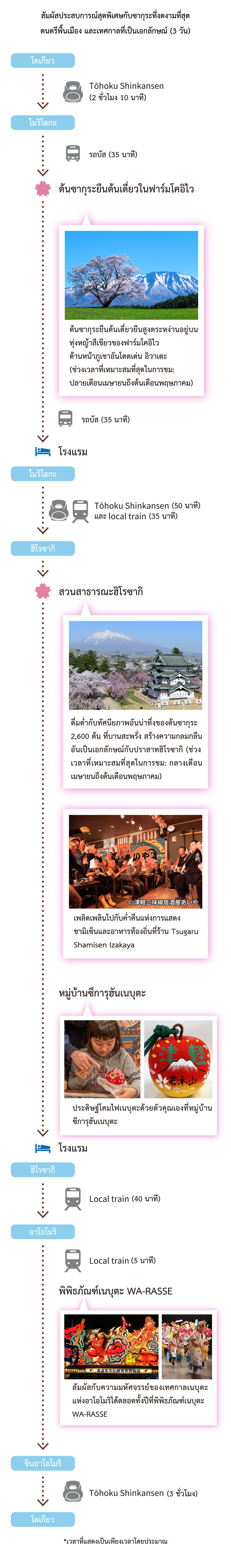 Sakura & Traditional Culture
