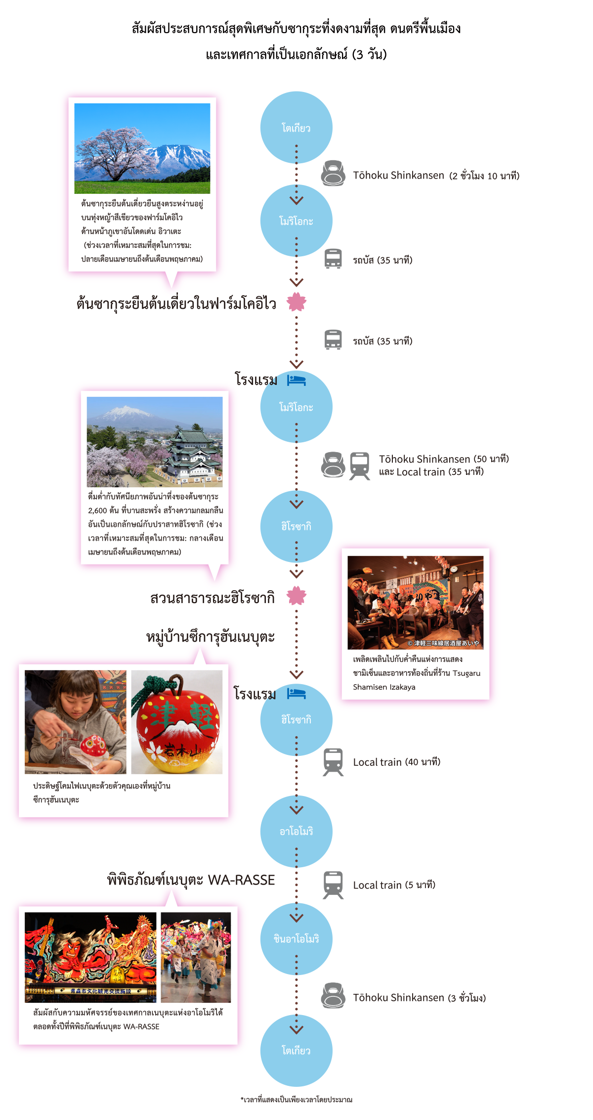 Sakura & Traditional Culture