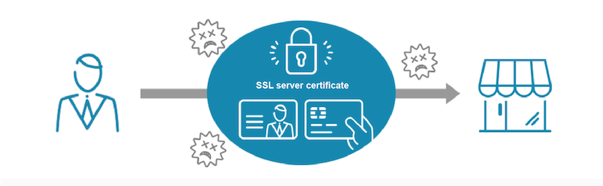 What is an SSL server certificate?