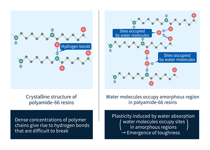 Abbildung 3: Konfiguration von Wassermolekülen und Wasserstoffbrücken in Polyamiden