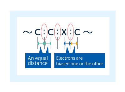 Figure 8: Polarization within polymer chains. 