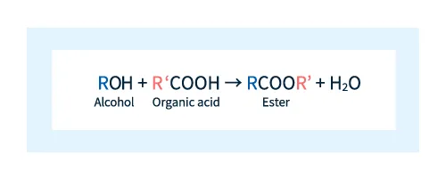 Figure 1: Reaction scheme for ester formation