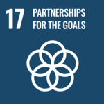 17. PARTNERSHIPS