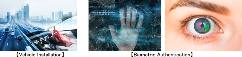 Automotive related biometric authentication