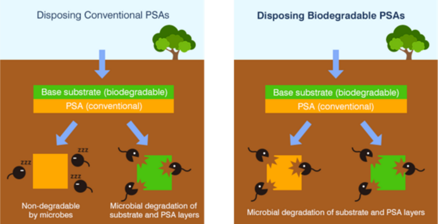 Biodegradable pressure sensitive adhesives can be broken down by microorganisms, making the entire product biodegradable and environmentally friendly.