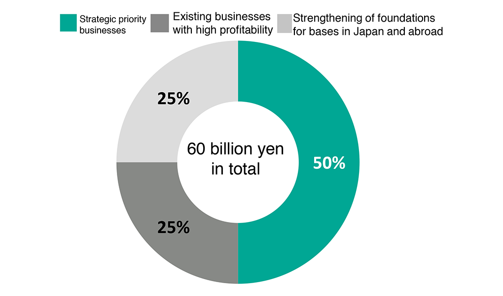 Allocation of capital investment plan