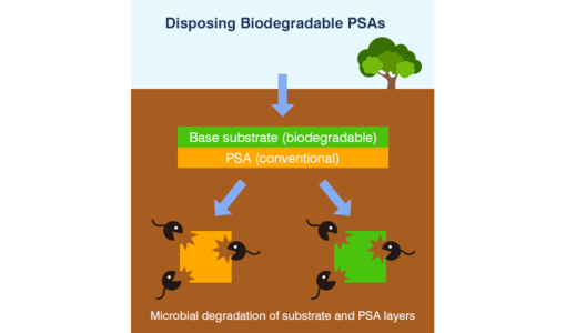 Image of biodegradation when using biodegradable pressure sensitive adhesives