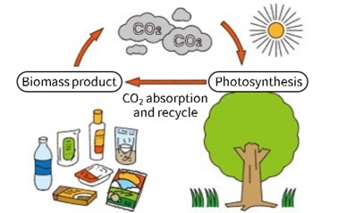 Carbon neutral image of biomass pressure sensitive adhesives