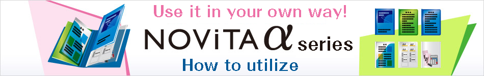 Use it in your own way! NOVITA Alpha series usage example