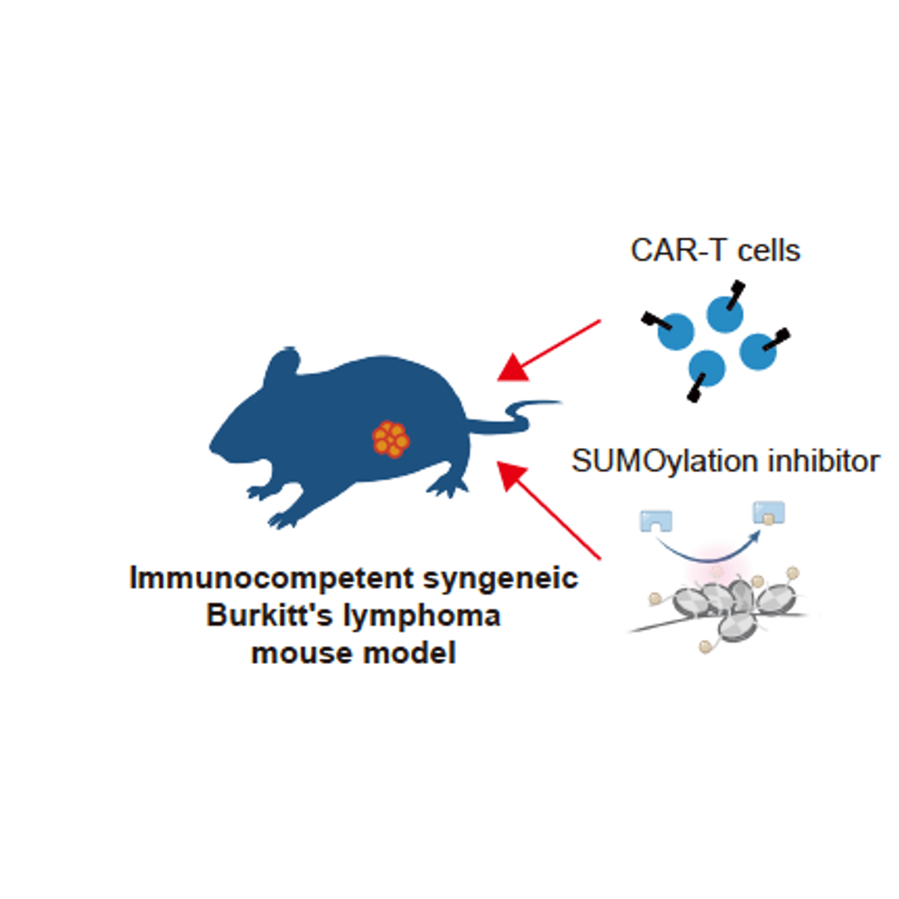 С�� �Ƥ��� д��