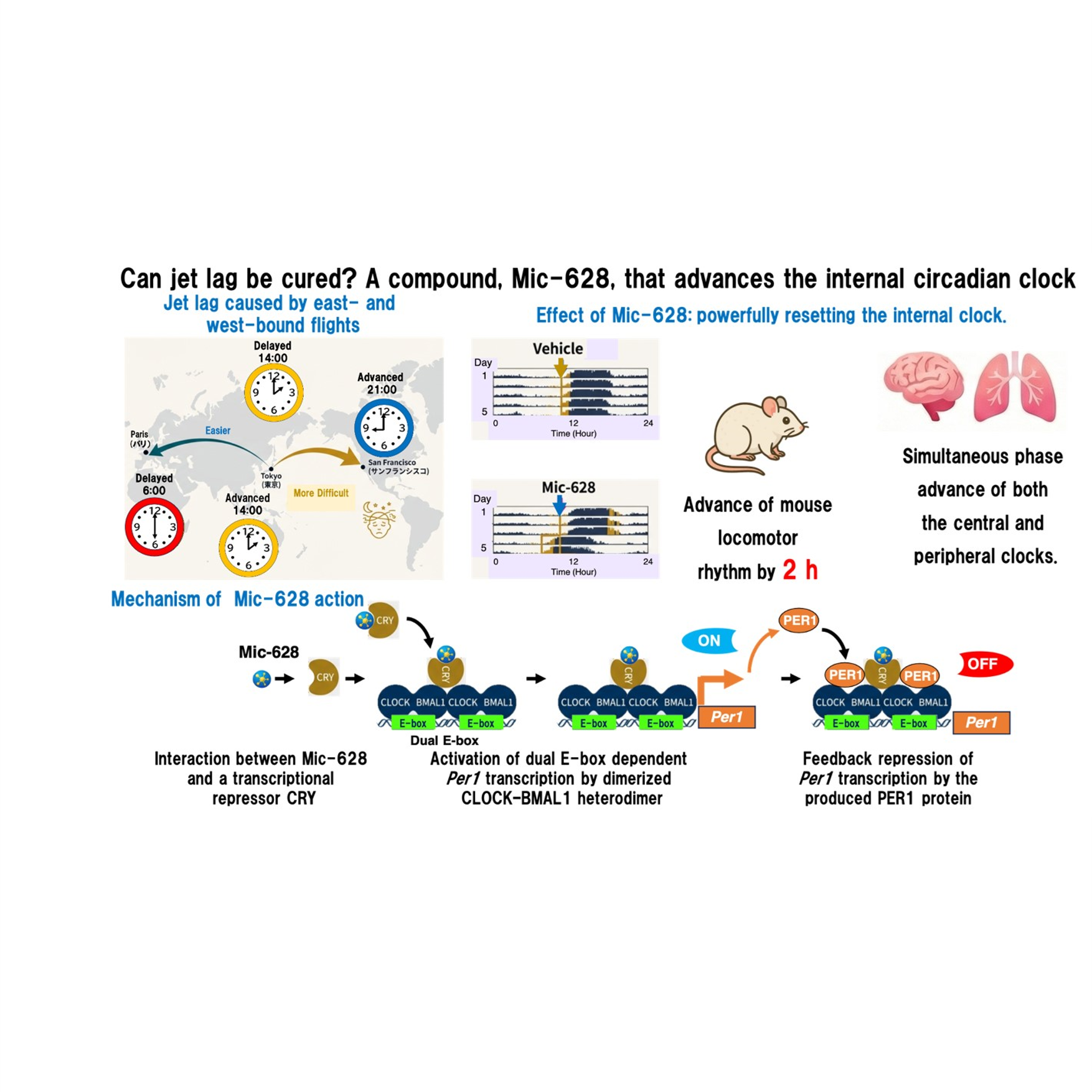程 肇さん 写真