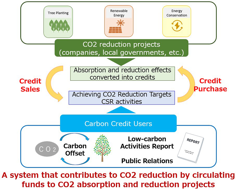 How Carbon Credits Work