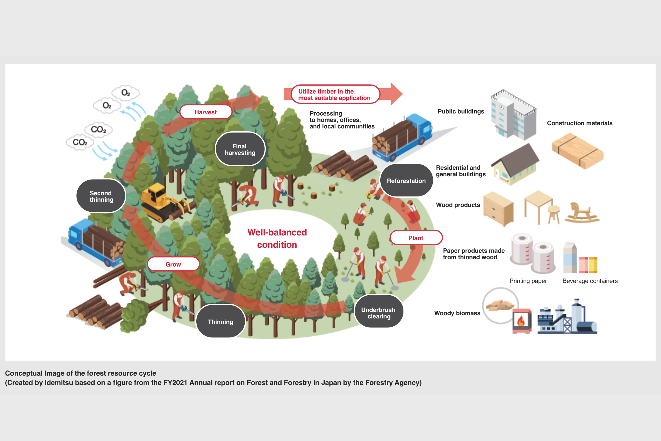 A system that promotes forest circulation through the use of domestic timber