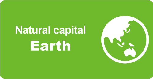 Natural capital “Earth”