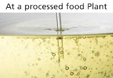 At a processed food plant