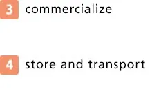 3Merchantize 4Storage and transport
