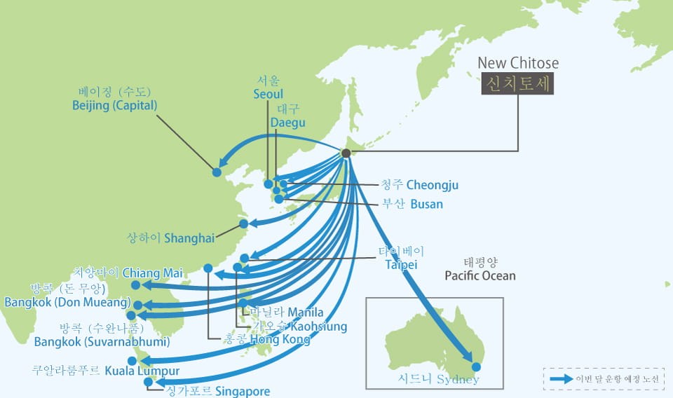 국제 항공 노선
