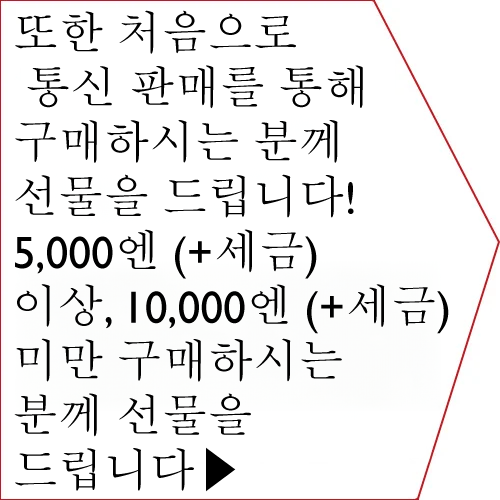 처음으로의 선물 특전은 이쪽