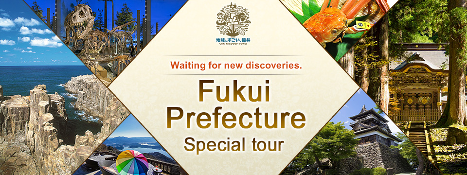 [From Kansai] Fukui Prefecture Tours and Trips