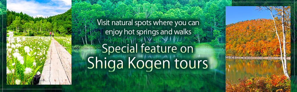 Shiga Kogen Tours and Travel