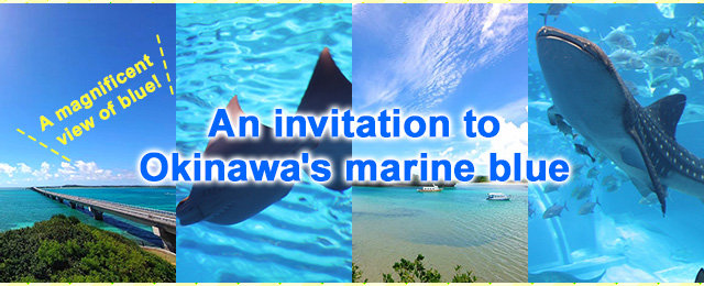 Spectacular blue scenery! An invitation to Okinawa's marine blue | Okinawa Tours and Travel