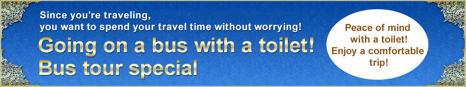 Traveling on a bus with a toilet! Bus tours and trips