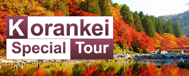 【中国・四国・九州発】香嵐渓の紅葉ツアー・香嵐渓旅行2026