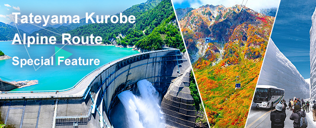 [Bus tour departing from Tokyo 23 wards] Tateyama Kurobe Alpine Route Tour and Snow Wall Tour
