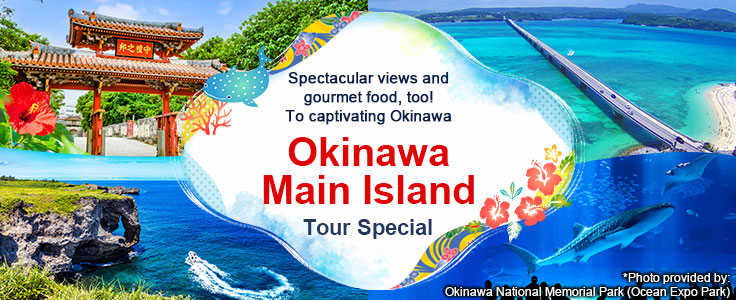 [From Tokai] Okinawa Main Island Tour | Okinawa Tour/Travel