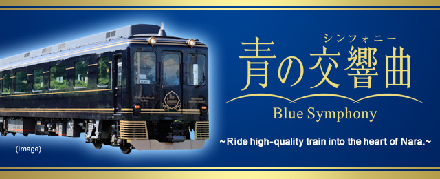 Blue Symphony Tours & Travel