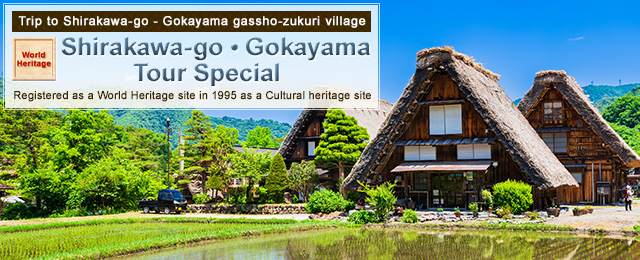 [Bus tour departing from Tokyo 23 wards] Special tour Shirakawa-go and Gokayama