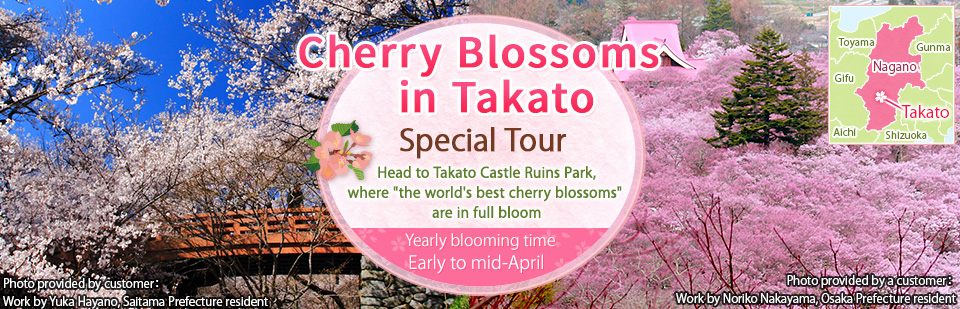 【Tokyo From the 23rd Ward】" Takato Cherry Blossoms" by bus 2026 Tour/Travel