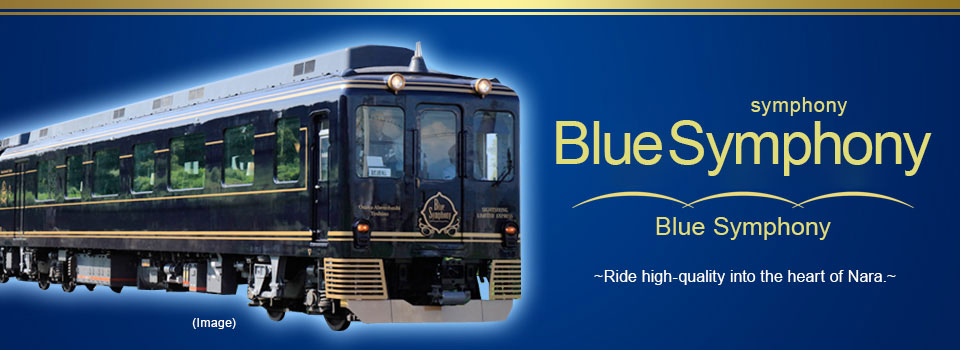 Blue Symphony Tours & Travel