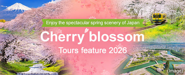 [Tokyo From the 23rd Ward] Cherry blossom and cherry blossom viewing by train and plane Tour/Travel 2026