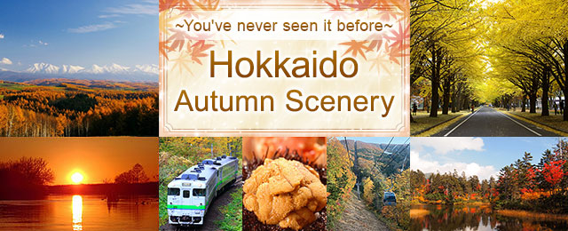 Autumnal Hokkaido Scenery and Basic Information