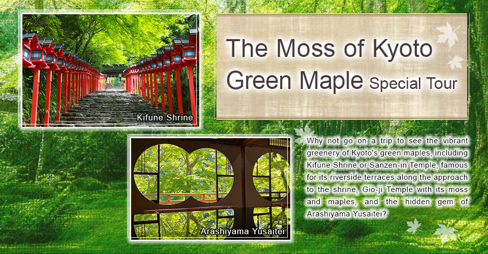 [From Tokai] Kyoto Moss and Green Maple Tour and Trip