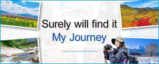 I'm sure you'll find my journey fascinating.