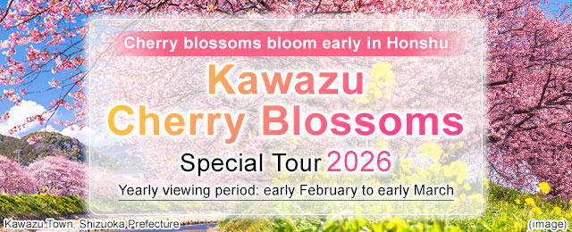 【From Kansai】Kawazu Cherry Blossoms Tour/Travel 2026