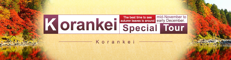 【中国・四国・九州発】香嵐渓の紅葉ツアー・香嵐渓旅行2026