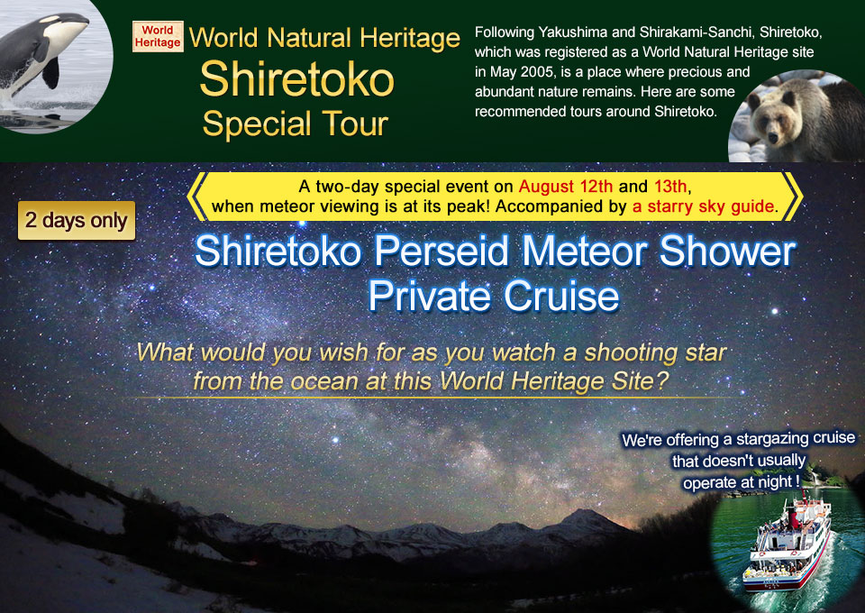 Special Plan Shiretoko Perseid Meteor Shower Tour/Travel Private Cruise