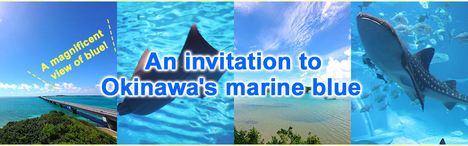 Spectacular blue scenery! An invitation to Okinawa's marine blue | Okinawa Tours and Travel