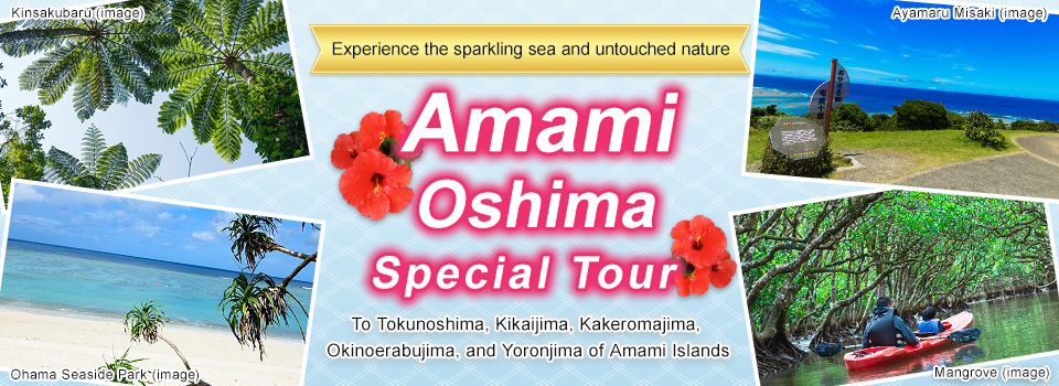 [From Tokai] Amami Oshima Tours and Travel