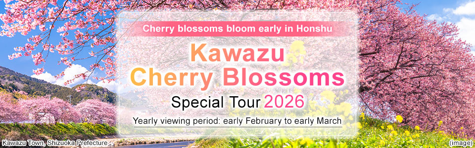 【From Kansai】Kawazu Cherry Blossoms Tour/Travel 2026
