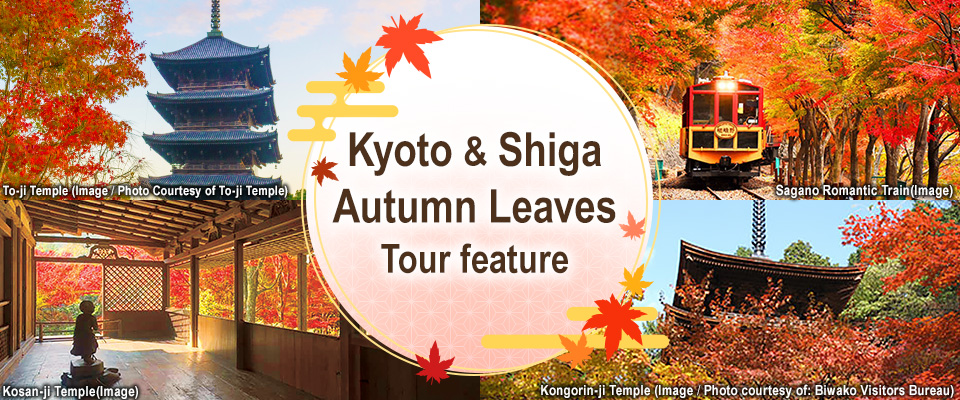 京都の紅葉スポットのご紹介