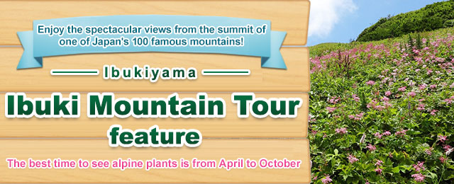 [From Ibaraki] Mt. Ibuki tour and trip