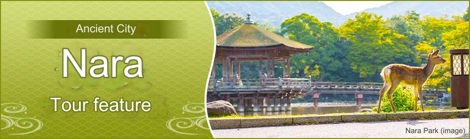 Nara trip, Nara tour
