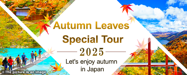 Autumn foliage viewing spots in the Chubu and Tokai areas