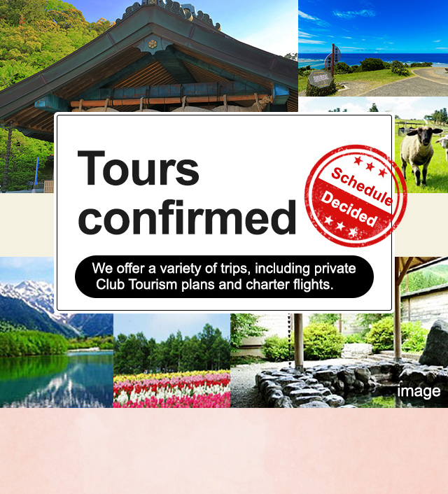 [Train and plane tours departing from Chubu and Tokai] Tours and travel Confirmed (departure confirmed)