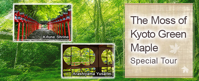 [From Tokai] Kyoto Moss and Green Maple Tour and Trip