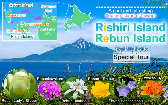 【From Kansai】Rishiri Island Rebun Island Travel/Tour 2026